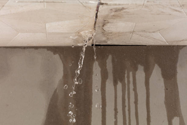 Professional Burst Pipe Cleanup technician working in Geyserville, CA